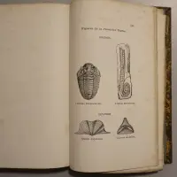 Accord de la Bible et de la Géologie dans la Création de six Jours dans le Récit de Déluge mosaïque et dans l'Époque de l'Apparition de l'Homme