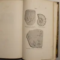 Accord de la Bible et de la Géologie dans la Création de six Jours dans le Récit de Déluge mosaïque et dans l'Époque de l'Apparition de l'Homme