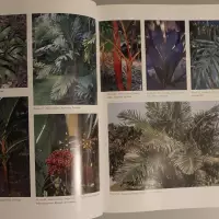 An encyclopedia of cultivated palms