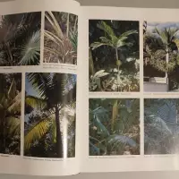 An encyclopedia of cultivated palms