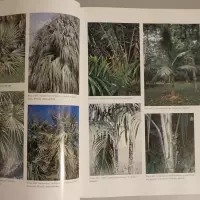 An encyclopedia of cultivated palms