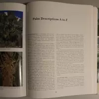 An encyclopedia of cultivated palms