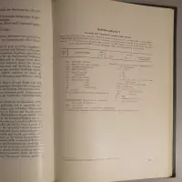 Der Seekrieg in den osteuropäischen Gewässern 1941-45