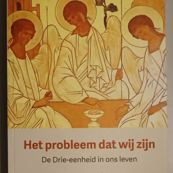 Het probleem dat wij zijn. De Drie-eenheid in ons leven