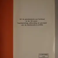 Uit de geschiedenis van Turnhout in de 16e eeuw: voorbereiding, uitbarsting en gevolgen van de Beeldenstorm (1566)