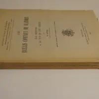 Les baillis comtaux de Flandre des origines à la fin du XIVe siècle