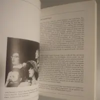 Twintig jaar politiek theater in Vlaanderen (1965-1985). Aspecten en tendensen