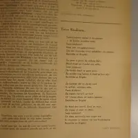 De Vlag. Deutsch-Vlaemische Arbeitsgemeinschaft, Vlaamsch-Duitsche Arbeidsgemeenschap