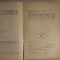 Notes sur le préhistorique indochinois III. Étude anthropologique du crâne néolithiqie de Minh Cam (Annam)