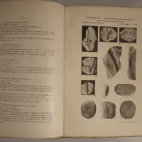 Notes sur le préhistorique indochinois IV. Le Kjökkenmödding néolithique du Bau Tro à Tam Toa près de Dong-Hoi (Annam)