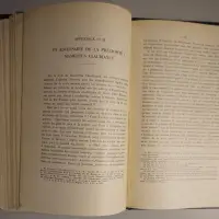 Sidoine Apollinaire et l'Esprit précieux en Gaule aux derniers jours de l'empire