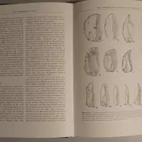 The Neanderthal Legacy. An Archaeological Perspective from Western Europe