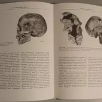 The Neanderthal Legacy. An Archaeological Perspective from Western Europe