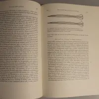 The Dark Age of Greece. An archaeological survey of the eleventh to the eight centuries BC