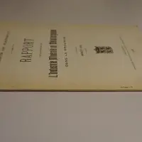 Province de Hainaut. Rapport sur la situation de l'industrie minérale et métallurgique dans la province. Année 1901