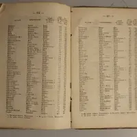 Agendas Dunod N° 6 Chemins de fer à l'usage des ingénieurs, mécaniciens, chefs de gare et de tous les agents de la construction, de l'entretien, de la traction et de l'exploitation