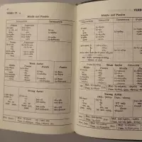 A grammatical analysis of the Greek New Testament