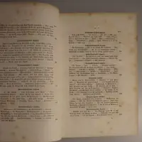 Reisen in Südwest-Afrika bis zum See Ngami in den Jahren 1850 bis 1854