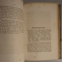 Reisen in Südwest-Afrika bis zum See Ngami in den Jahren 1850 bis 1854