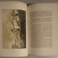 Reisen in Südwest-Afrika bis zum See Ngami in den Jahren 1850 bis 1854