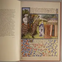 Livre du Cuer d'Amours espris. Een hoofse roman van René d'Anjou