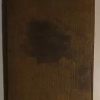 V.N.V. Liederboek