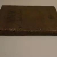 V.N.V. Liederboek