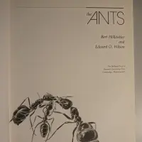 The ants