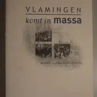 Vlamingen komt in massa. De Vlaamse beweging als massabeweging