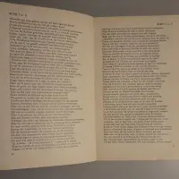 Ilias. Metrische vertaling van Dr. Aegidius W. Timmerman
