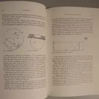 Joannes della Faille s.j. Mathematics, Modesty and Missed Opportunities