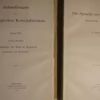 Die Sprache der Basa in Kamerun. Grammatik und Wörterbuch