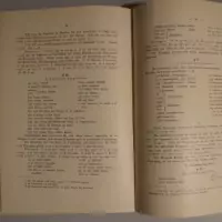 Die Sprache der Basa in Kamerun. Grammatik und Wörterbuch