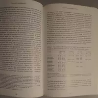 Corporatieve middengroepen. Aspiraties, relaties en transformaties in de 16de-eeuwse Gentse ambachtswereld