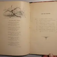 Léopold II Roi des Belges. Sa vie et son règne