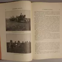 Les Céréales. Histoire et travail